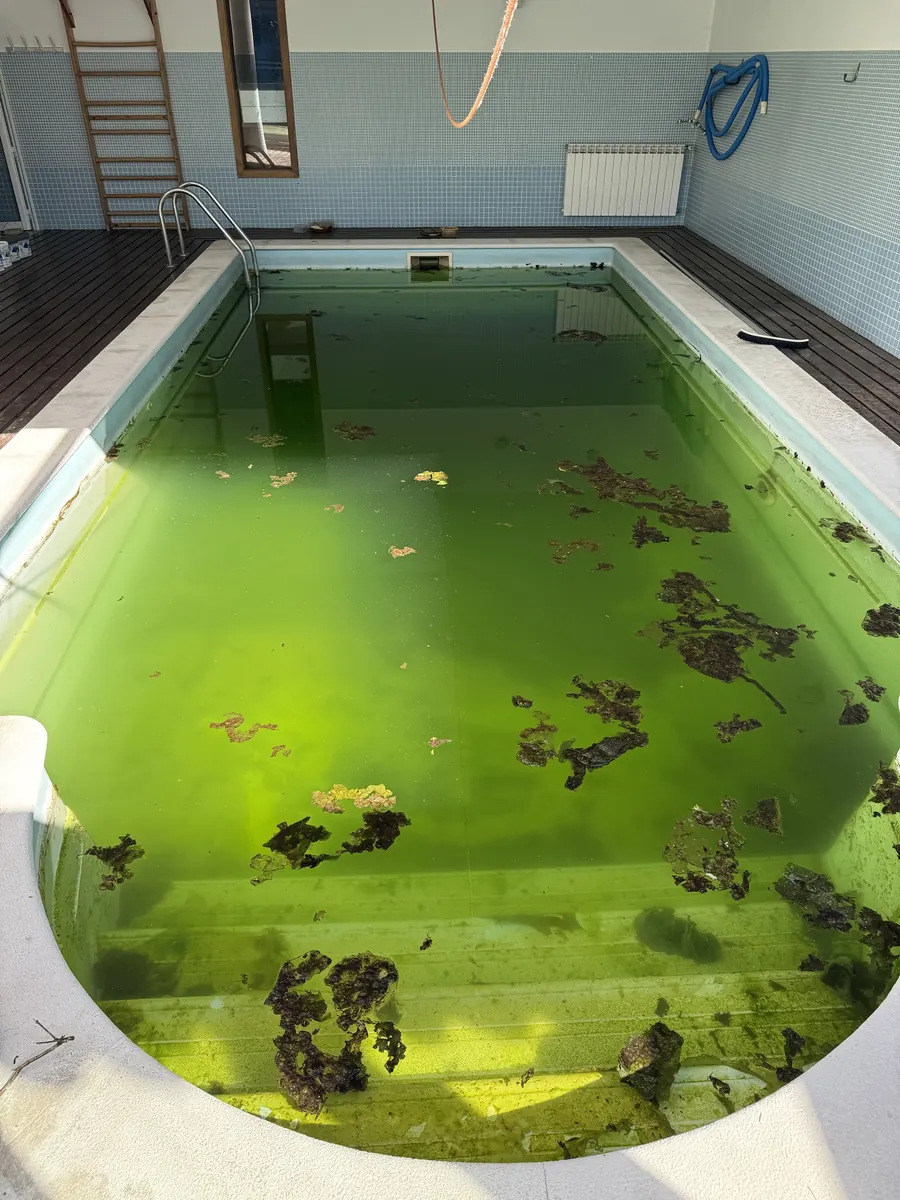 Antes: água verde, com algas e folhas a flutuar